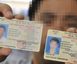 Ngày mai, TP HCM cấp giấy phép lái xe quốc tế