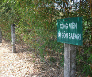 Ông Đinh La Thăng ra "tối hậu thư" với dự án 500 triệu USD