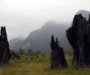 Môi trường sạch bong sau khi đoàn làm phim Kong: Skull Island rời khỏi Yên Phú