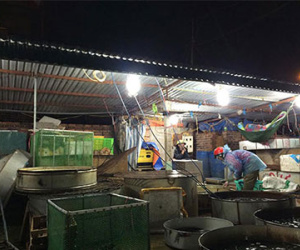 Chợ bí ẩn nhất Hà Nội: Bán gà không kêu, mổ cá không tanh