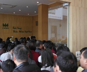 Bảo tàng Thiên nhiên quá tải vì dân đến xem cụ rùa