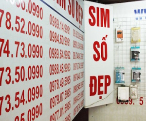 Sim "siêu đẹp" 9 con 8 sẽ được đấu giá