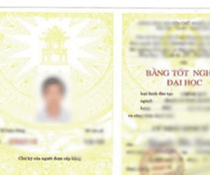 Cách chức chủ tịch phường vì dùng bằng giả