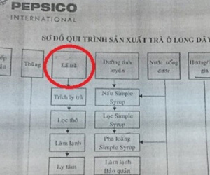Lộ "quy trình gian dối" sản xuất Trà Ô long TEA+ Plus