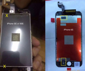Màn hình iPhone 5se lộ ảnh, không có 3D Touch
