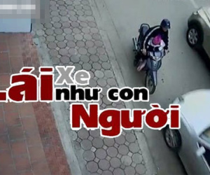 Hãy lái xe như người, đừng lái xe như thú