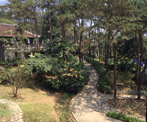 Niêm phong resort không phép trên núi Ba Vì chờ xử lý