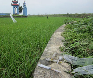 Nông dân hoang mang vì kim tiêm vương máu đầy đồng