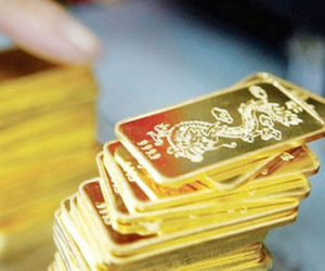 Giá vàng vẫn tiếp tục tăng trở lại