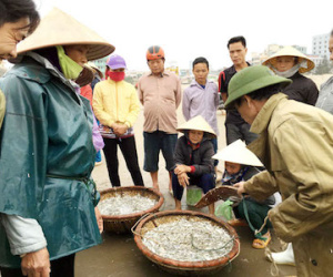 FLC chiếm bãi biển: Phía sau sự hào nhoáng