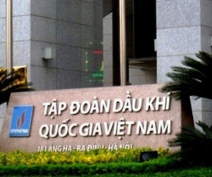Không cho
PVN độc quyền cung cấp xăng dầu trong nước