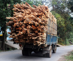 Thanh tra giao thông đi tuần, có người điện báo trước