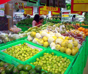 Đại gia thừa tiền, xuất ngoại mua trang trại nuôi bò