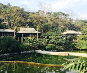Hà Nội kiểm tra các khu biệt thự, resort tại Ba Vì