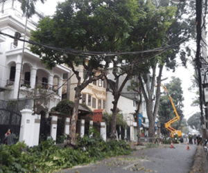 Hà Nội mua xe cắt tỉa cây 1,5 tỷ đồng