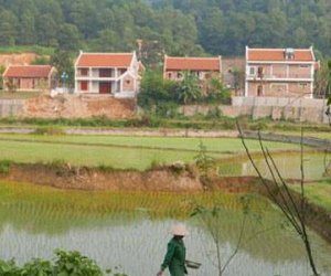 "Phá dỡ các biệt thự Điền Viên Thôn để giữ nghiêm kỷ cương"