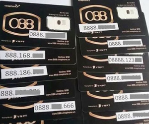 VinaPhone phủ nhận phân phối sim đại phát