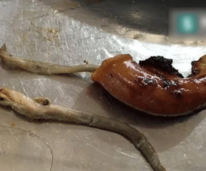 Vụ tố sán bò ra từ đĩa lòng nướng: Chủ nhà hàng phẫn nộ