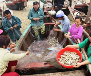 Thanh Hóa báo cáo Trung ương vụ Sầm Sơn