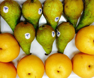 Lê ngoại tràn ngập thị trường