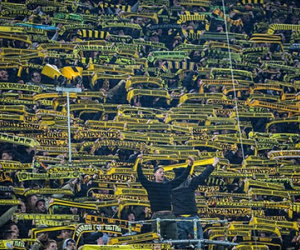 CĐV Dortmund đột tử trên khán đài
