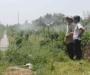 Hạn, mặn nghiêm trọng: Lắp đường ống dẫn nước ngọt cho dân