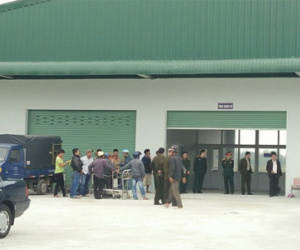 Nghi có lựu đạn trong một kiện hàng tại sân bay