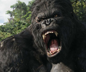 Nhà sản xuất Kong: Skull Island gửi thư cảnh báo truyền thông VN