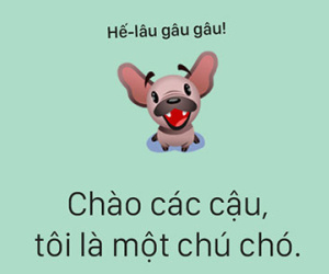 Tâm sự đầy đau khổ của một chú chó