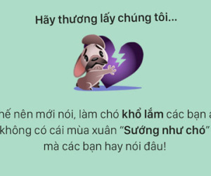 Tâm sự đầy đau khổ của một chú chó