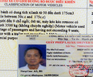 Không bắt buộc tách 2 loại Giấy phép lái xe