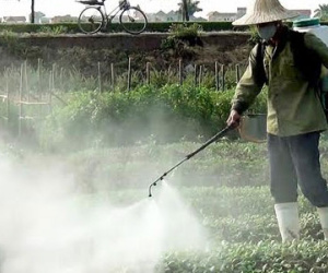 Vạch mặt sát thủ gây ung thư ở Việt Nam