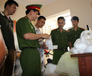 Trên 6 triệu con heo xơi chất cấm vô bụng người Việt