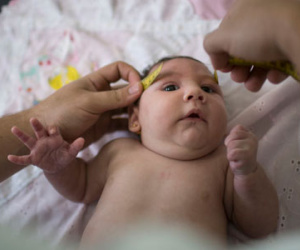 Xét nghiệm 3 trường hợp nghi ngờ nhiễm virus Zika ở Hà Nội