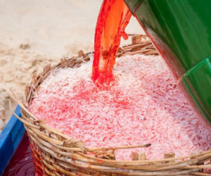 Ảnh ngư dân nhuộm đỏ con ruốc gây "bão" mạng