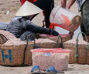 Tẩm màu cho ruốc: Công an vào cuộc điều tra, xác minh