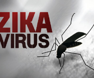 Vì sao Zika có khả năng lây lan nhanh ở Việt Nam?