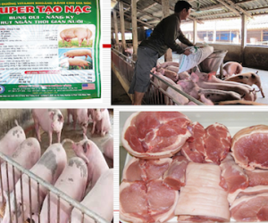 Thực phẩm bẩn là thủ phạm số một gây bệnh ung thư