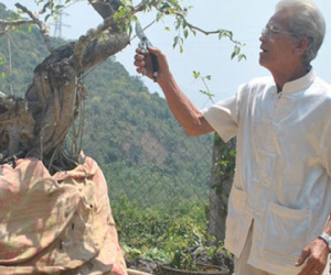 Võ sư 12 lần lấy vợ nhưng vẫn... cô đơn trong căn nhà "bên trời"