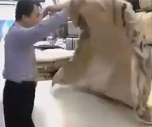 Clip: Mẹo lồng chăn bông cực nhanh và đơn giản