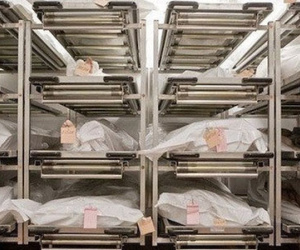 Xác chết 2 năm không được an táng vì không có... giấy chứng tử