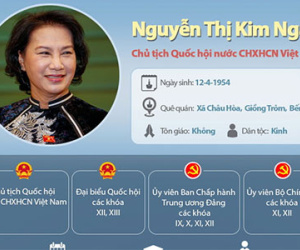 Chân dung tân chủ tịch Quốc hội Nguyễn Thị Kim Ngân