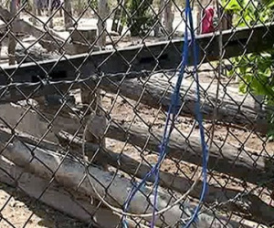 Dây điện dính hàng rào làm bé gái 13 tuổi tử vong
