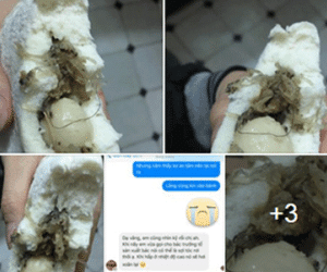 Hoang mang khi thấy "tóc lạ" xuất hiện trong bánh bao ở chuỗi cửa hàng thực phẩm sạch nổi tiếng Hà Nội