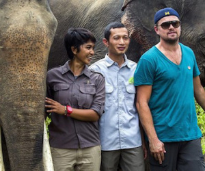 Indonesia đe dọa trục xuất Leonardo DiCaprio
