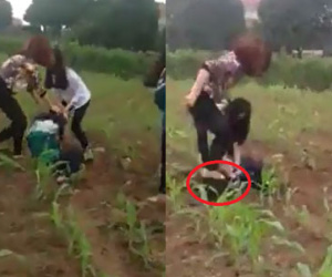 "Thích thì đánh": Nữ sinh lôi bạn xuống ruộng ngô giải quyết