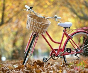 Chủ nhật của bạn (3/4): Bọ Cạp bận bịu việc gia đình