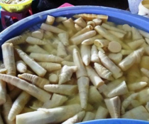 Chất nhuộm vàng măng và gà tàn phá cơ thể khủng khiếp