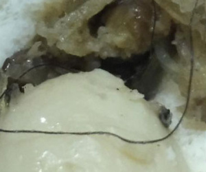 Vụ bánh bao bị tố có “tóc lạ”: Đại diện chuỗi cửa hàng chính thức xin lỗi khách hàng