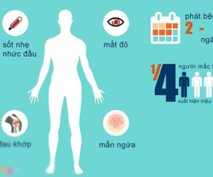 Hai người Việt Nam đầu tiên nhiễm virus Zika